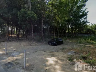For sale land in Thalang, Phuket