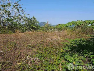 For sale land in Thalang, Phuket