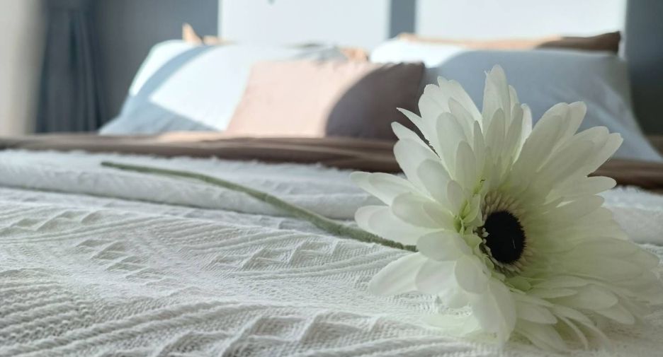 For rent 1 Beds condo in Thalang, Phuket