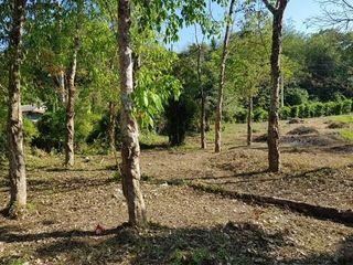 For sale land in Mueang Phuket, Phuket