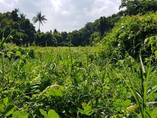 For sale land in Mueang Phuket, Phuket