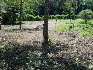 For sale land in Mueang Phuket, Phuket