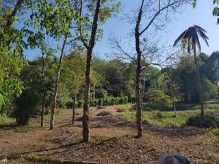 For sale land in Mueang Phuket, Phuket