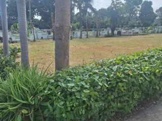 For rent 3 bed house in Mueang Khon Kaen, Khon Kaen