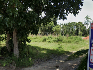 For sale land in Ban Na Doem, Surat Thani