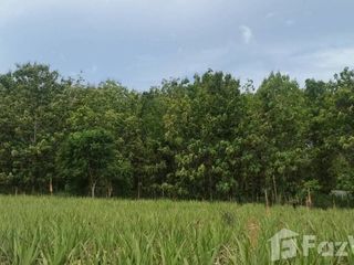 ขาย ที่ดิน ใน หัวหิน, ประจวบคีรีขันธ์