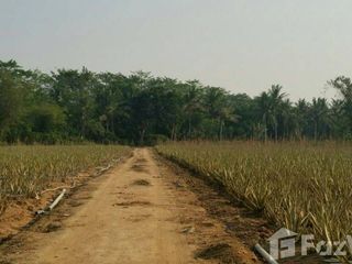 ขาย ที่ดิน ใน หัวหิน, ประจวบคีรีขันธ์