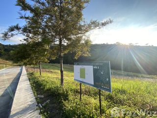 For sale land in Khao Kho, Phetchabun