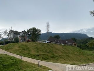 For sale land in Khao Kho, Phetchabun