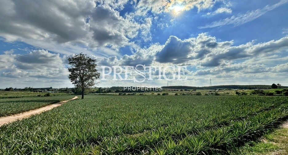 For sale land in Pluak Daeng, Rayong