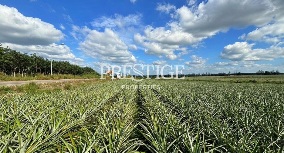 For sale land in Pluak Daeng, Rayong