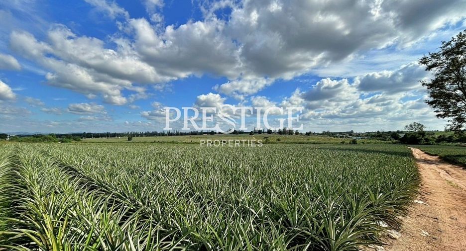 For sale land in Pluak Daeng, Rayong
