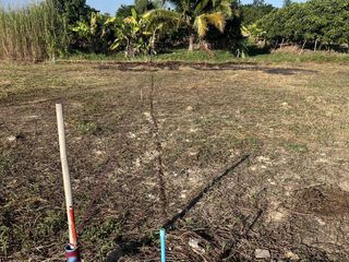 For sale land in San Pa Tong, Chiang Mai