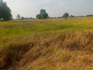 For sale land in Ban Mi, Lopburi