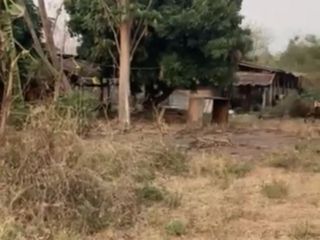 For sale land in Mae On, Chiang Mai