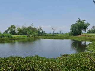 For sale land in Mueang Chiang Rai, Chiang Rai