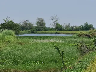 For sale land in Mueang Chiang Rai, Chiang Rai