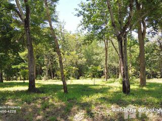 For sale land in Mueang Lamphun, Lamphun