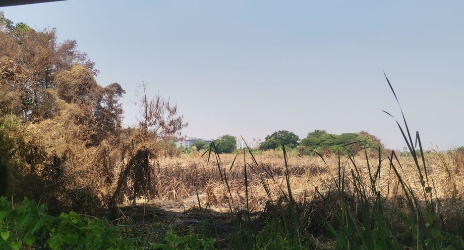 For sale land in Pak Kret, Nonthaburi