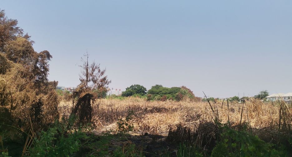 For sale land in Pak Kret, Nonthaburi