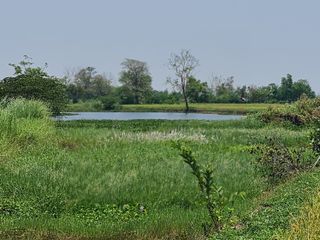 For sale land in Mueang Chiang Rai, Chiang Rai
