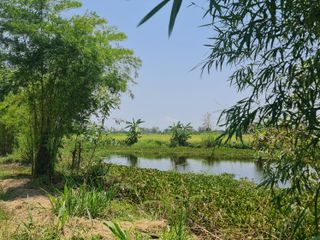 For sale land in Mueang Chiang Rai, Chiang Rai