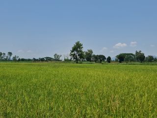 For sale land in Mueang Chiang Rai, Chiang Rai