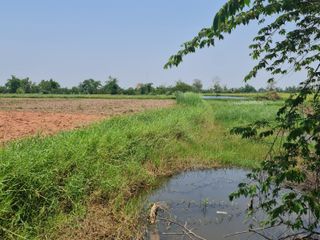 For sale land in Mueang Chiang Rai, Chiang Rai