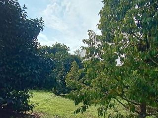 For sale 1 Beds land in Makham, Chanthaburi
