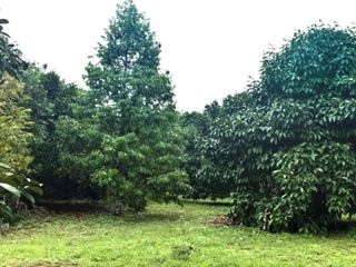 For sale 1 Beds land in Makham, Chanthaburi