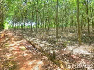 For sale land in Ban Khai, Rayong