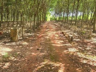 For sale land in Ban Khai, Rayong