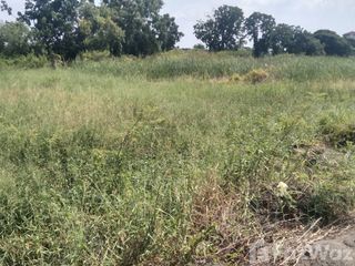For sale land in Uthai, Phra Nakhon Si Ayutthaya