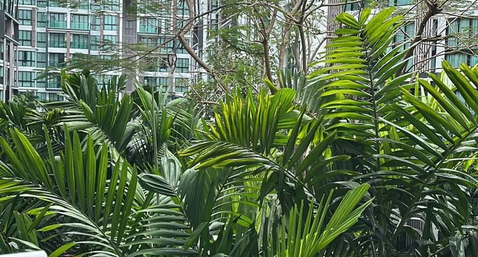 For rent スタジオ condo in Thalang, Phuket