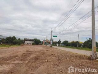 For sale land in Wang Noi, Phra Nakhon Si Ayutthaya
