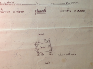 For sale land in Chiang Khong, Chiang Rai