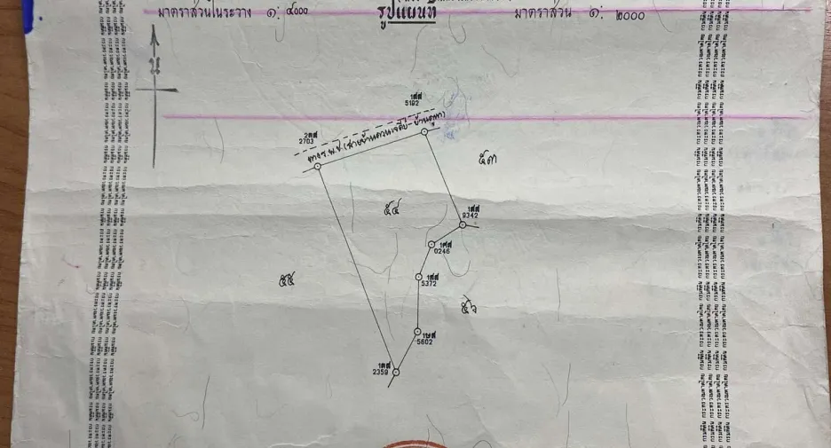 For sale land in Thepha, Songkhla