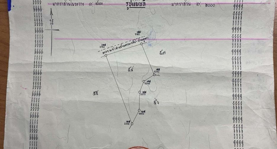 For sale land in Thepha, Songkhla