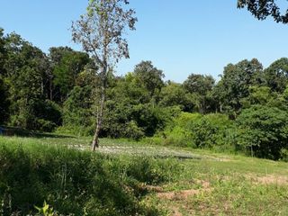 For sale land in Phu Ruea, Loei
