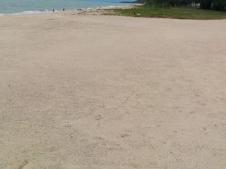 For sale land in Tha Sala, Nakhon Si Thammarat