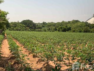 For sale land in Si Racha, Chonburi