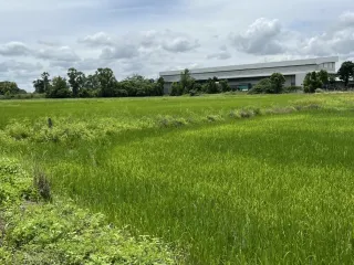 For sale land in Banphot Phisai, Nakhon Sawan