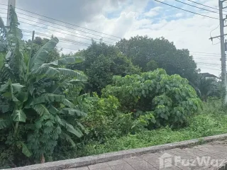 For sale land in Mueang Chumphon, Chumphon