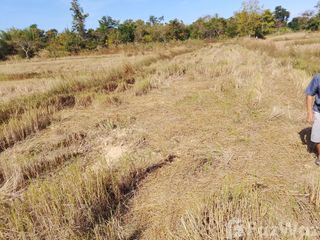 For sale land in Phon Sawan, Nakhon Phanom