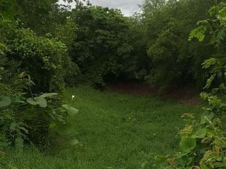 For sale land in Mueang Saraburi, Saraburi