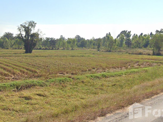 For sale land in Chom Phra, Surin