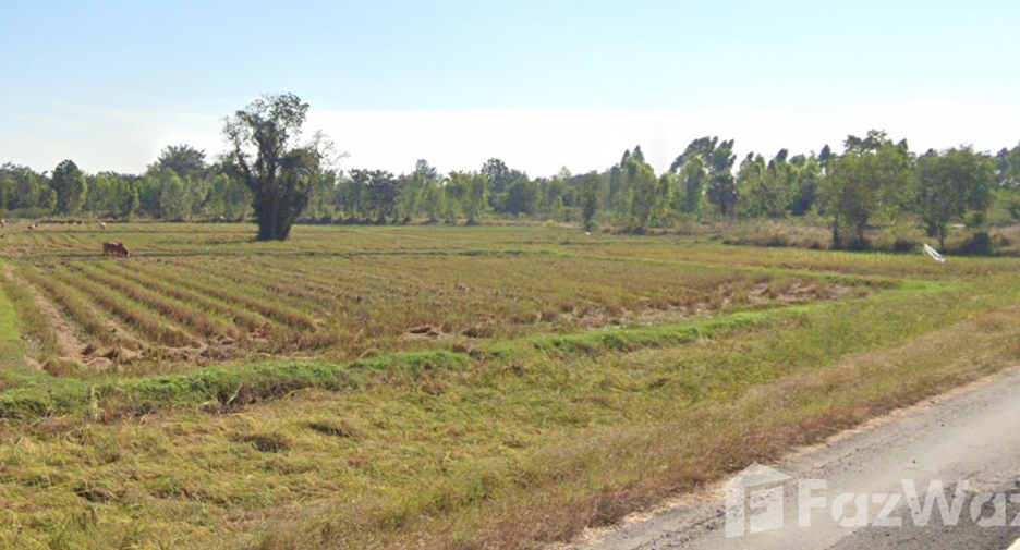 For sale land in Chom Phra, Surin