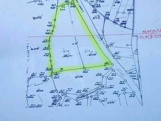 For sale land in Chom Phra, Surin