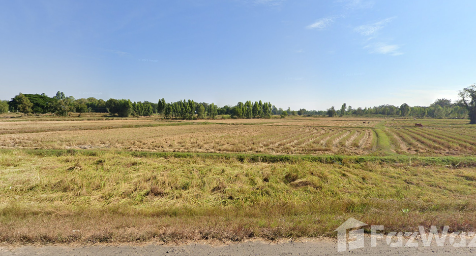 For sale land in Chom Phra, Surin