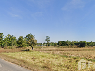 For sale land in Chom Phra, Surin